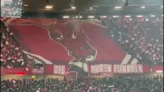 Impressive tifo at Hannover v Kaiserslautern #football