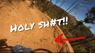 NOPE! .. ran over a MASSIVE Snake while riding MTB! Fox Creek Bike Park.