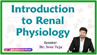 Introduction To Renal Physiology || Live Streaming