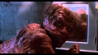 Decades of Horror: The Fly