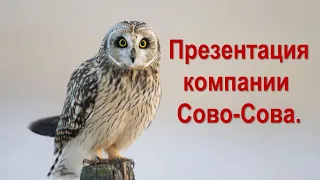 Презентация компании СОВО СОВА