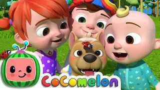 Where Has My Little Dog Gone? | CoComelon Nursery Rhymes & Kids Songs