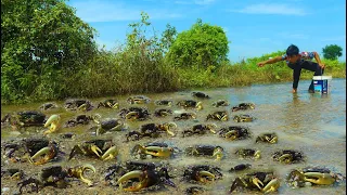 Wow Wow Wow Amazing A Lot Crabs On Road Along Water Flow When Flood - A Fisherman Catch A Lot Today