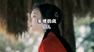 多情的风－菲儿（新歌推荐完整版）