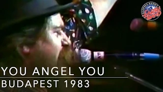 Manfred Mann's Earth Band - You Angel You (Live in Budapest 1983)