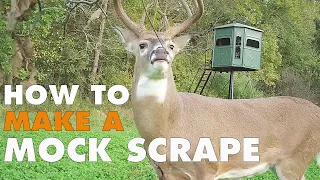 How to Make a Mock Scrape for Whitetail Deer
