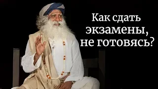 Как сдать экзамены, не готовясь? Садхгуру