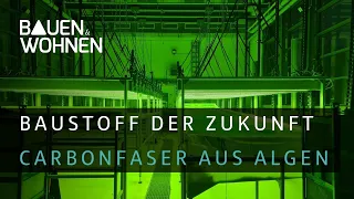 Ein T-Träger aus Algen? Neue ökologische Technologie | Baustoff der Zukunft