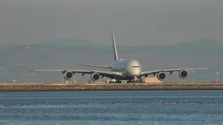 10 Min of Beautiful Plane Spotting at San Francisco Intl Airport #fyp #planespotting #live #airport