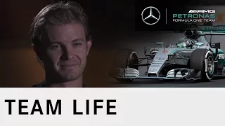 Nico Rosberg 2015 F1 season review