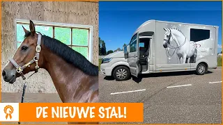 Grote verhuizing met de paarden! | PaardenpraatTV