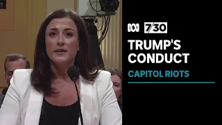 Donald Trump accused of extraordinary behaviour during Capitol riot | 7.30