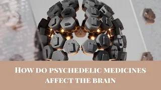 Cybin: How Do Psychedelic Medicines Affect Brain Chemistry?