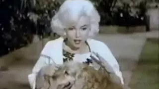 Beautiful-A tribute to Marilyn Monroe
