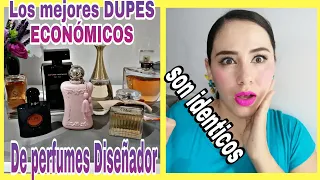 Los MEJORES DUPES, de PERFUMES de DISEÑADOR, super Economicos