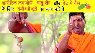 Ayurvedic Treatment at Home ( धातु रोग और पेट में गैस 3 दिन में ठीक करें) Dhatu Rog ka Ilaj, Pet Gas