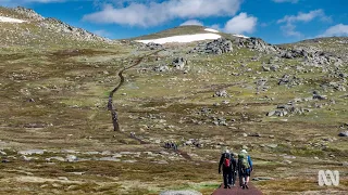 Mount Kosciuszko