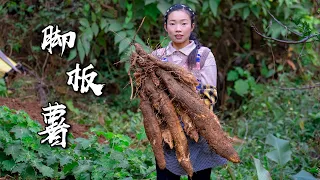 Make Chinese food with amazing ingredients｜野小妹 wild girl