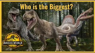What is the Biggest Carnivore the World has Ever Seen?