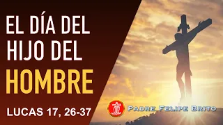 Evangelio de Hoy Viernes 12 de Noviembre de 2021 | REFLEXIÓN Padre Felipe Brito | Familia