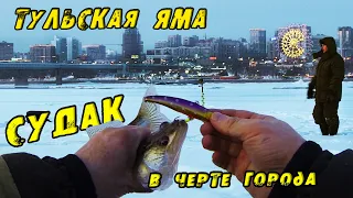 Тульская Яма ОЖИВАЕТ!!! Зимняя рыбалка на Судака в Черте города! СУДАК НА ВИБЫ зимой 2023