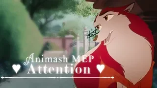 Animash MEP ♥ Attention ♥