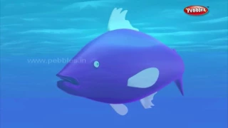 Three Fishes Story in Kannada | 3D Panchatantra in Kannada | Kannada Stories For Kids