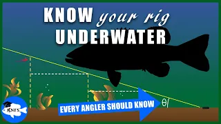 Drop-Shot Fishing Optimization | Understanding Play Height Underwater