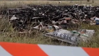 Дело сбитого MH17, телемедицина и земельные абсурды