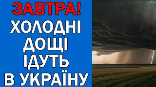 ПОГОДА НА 29 СЕРПНЯ : ПОГОДА НА ЗАВТРА