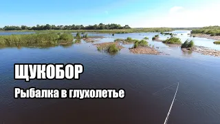 ЩУКОБОР! Спиннинг в Нижегородской области. Глухолетье. Нашел рыбу. Перебор приманок.
