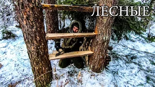 7 SIMPLE SOVIETS FOR FORESTS | 7 BUSHCRAFT TIPS