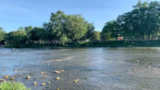 Found Vintage Items While Snorkeling the Historic River Raisin in Monroe, Michigan