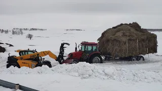 МТЗ 1523 БУКСУЕТ с ПТС 9. ОБНОВА В ХОЗЯЙСТВЕ.  ПОГРУЗЧИК DIECI  Погрузка сена! (Сезон 2021)