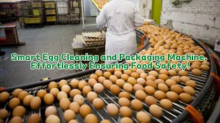 Smart Egg Cleaning and Packaging Machine, Effortlessly Ensuring Food Safety!