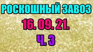 🌸Продажа орхидей. ( Завоз 16. 09. 21 г.) 3 ч. Отправка только по Украине. ЗАМЕЧТАТЕЛЬНЫЕ КРАСОТКИ👍