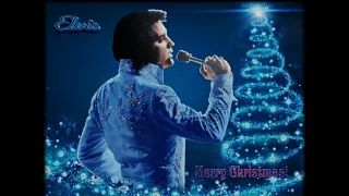 ELVIS PRESLEY 3CD INSTRUMENTALS- CD4-Christmas Album, CD45 The Wonderful ..,CD40That's The Way It Is