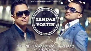 Presentación de YANDAR Y YOSTIN en Viña (Audio después del corte de la TV)