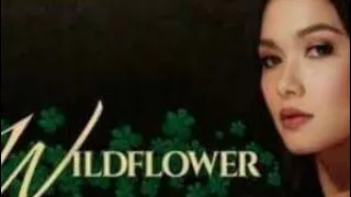Wildflower;Emilia had a nightmare ,ivy aguas revenge