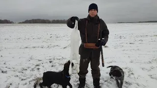 Охота на зайца в броне, или как прогреть МРку! 12.11.2022.ОДОУ