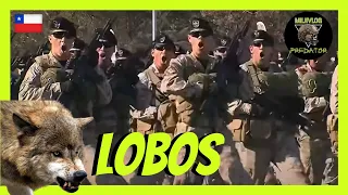 ✅  MILITAR ESPAÑOL reacciona a PARADA MILITAR de CHILE  | 😲