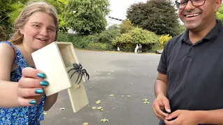 SPIDER IN A BOX PRANK - 2