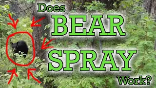 Does Bear Spray Work? First Hand Bear Encounter W/ Bear Spray