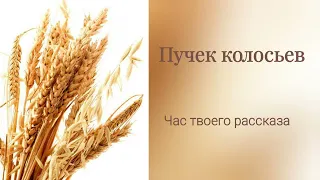 ПУЧЕК КОЛОСЬЕВ 🌾 Очень интересный рассказ | Час твоего рассказа