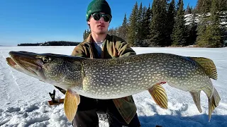 SLAMMING BIG PIKE Through Ice  - Winter Camping Adventure