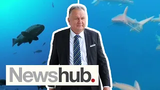 Kermadec Ocean Sanctuary now dead in water with Shane Jones to get advice on seabed mining | Newshub
