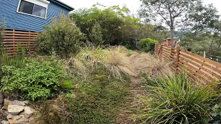 Horribly Neglected Overgrown Australian Native Garden | Complete Makeover