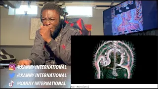 WOW THEY WENT OFF ON LA! Tool - Ænema (lyrics) | REACTION