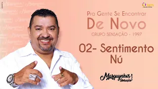 02 - Sentimento Nu - Grupo Sensação CD "Pra Gente se Encontrar de Novo" (1997) - Marquynhos Sensação