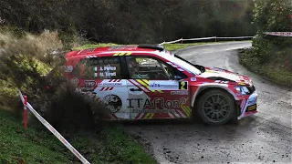 CRASH & MISTAKES | 29° Rally Il Ciocchetto 2020 [HD]